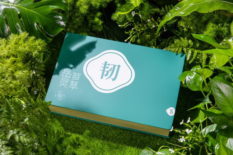 岳灵苗草生发
